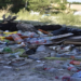 Lote baldío lleno de basura, sector Los Ángeles