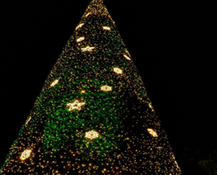 Árbol de navidad de Manta encendido.