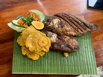 Tilapia