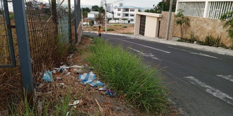 Bajo la maraña del abandono, la vereda busca renacer entre escombros y sombras.