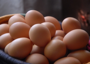 Una cubeta de huevos.