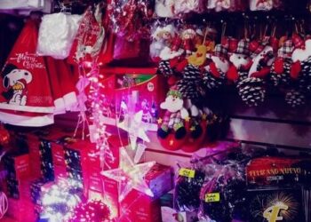 Punto Navideño