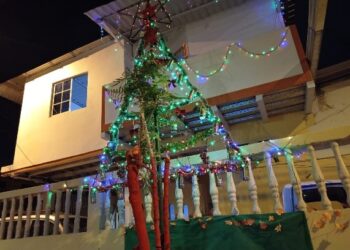 Navidad ecológica