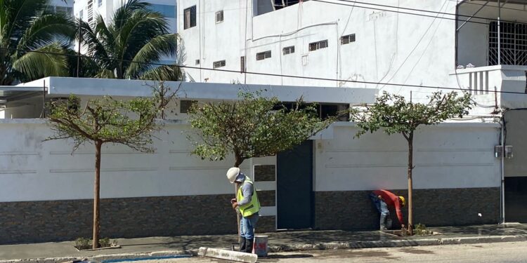 Nueva vereda en la calle 16