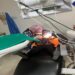 Un canto entre dientes