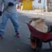 Pulcritud recuperada