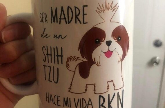 Lienzo en cerámica