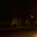 Sombras en el camino