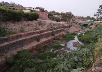 Un río sin vida