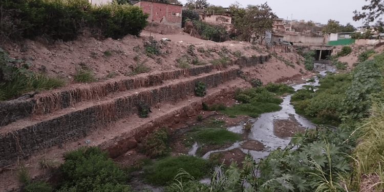 Un río sin vida