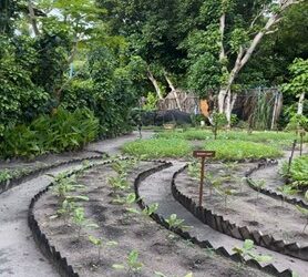 Finca sustentable