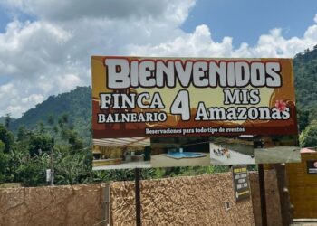 Ingreso a Mis 4 Amazonas