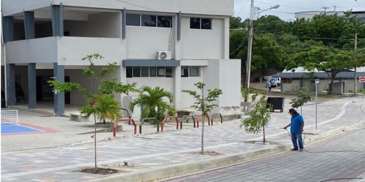 Ramon Corrales jardinero regando las plantas