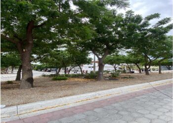 Árboles y flores de la ULEAM
