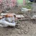 Basura acumulada, problemática en el barrio cuba