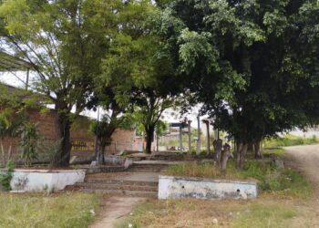 Un oasis olvidado en la sombra