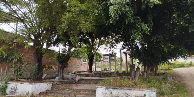 Un oasis olvidado en la sombra