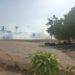 Gas fumigante, invade la Uleam