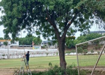 Preparación para la Semana Deportiva