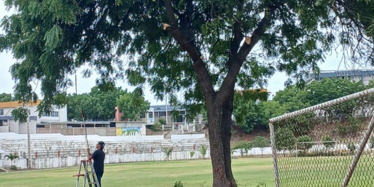 Preparación para la Semana Deportiva
