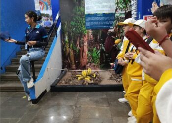 Visita educativa