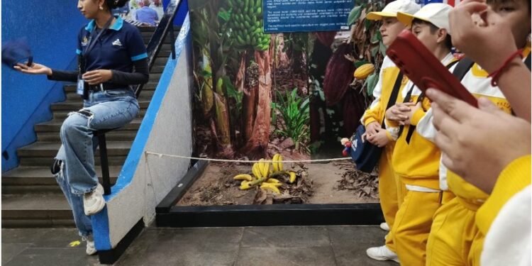 Visita educativa