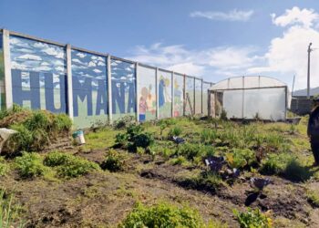 La alimentación sin químicos es posible