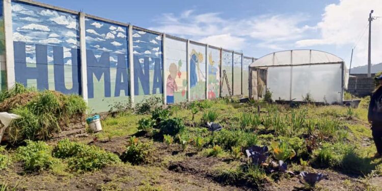La alimentación sin químicos es posible