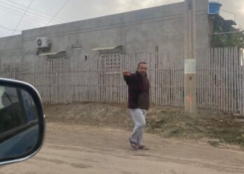 Ola de frío