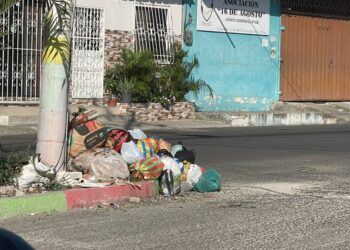 La lucha diaria contra un canino travieso