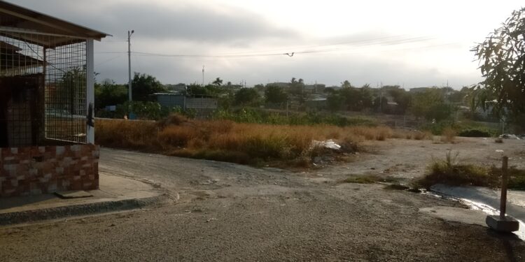 Aumento de basura en “canchas” de Si Vivienda
