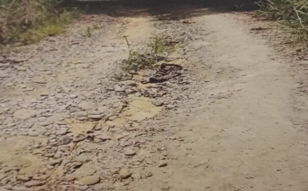 Un invierno más y una promesa sin cumplir
