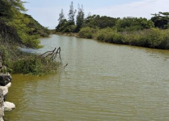 Ecos de resistencia comunitaria