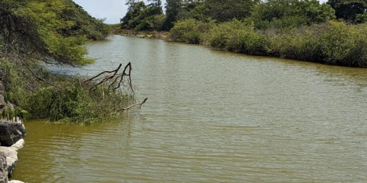 Ecos de resistencia comunitaria