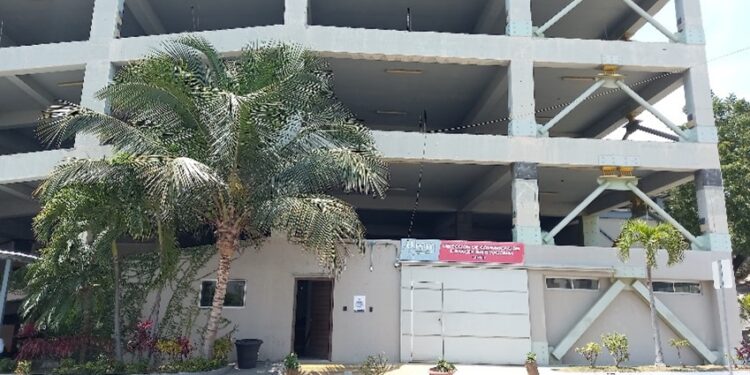 Raíces de progreso silencioso