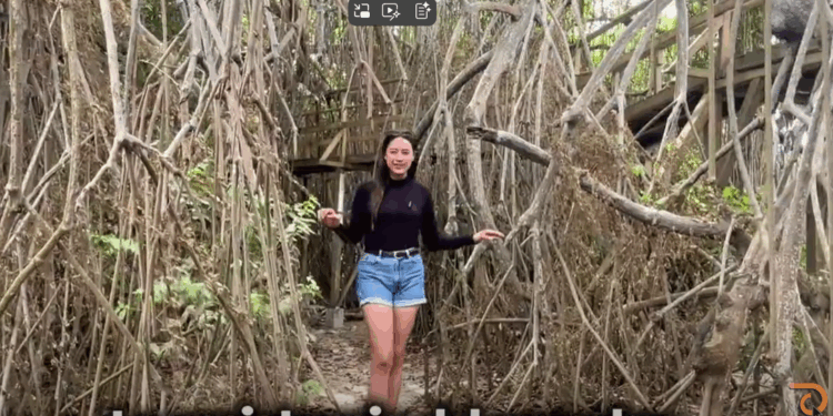 REPORTAJE EMERGENTE DEL MANGLAR DE SAN JACINTO