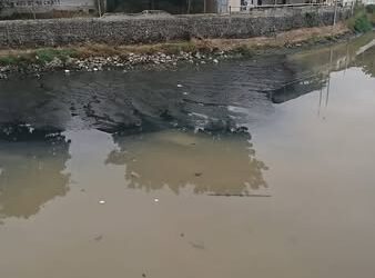 Tarqui, olvidado y abandonado