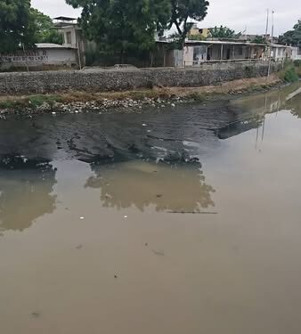 Tarqui, olvidado y abandonado