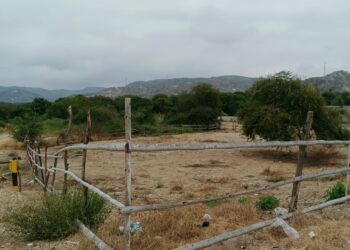 Sombras y ruinas de un corral