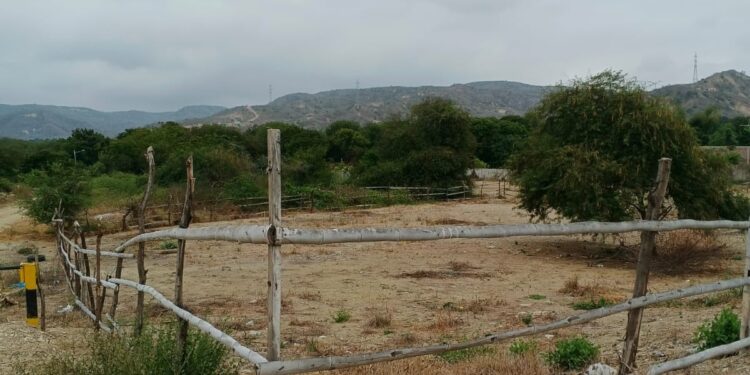 Sombras y ruinas de un corral