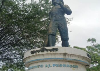 Raíces de unión y memoria