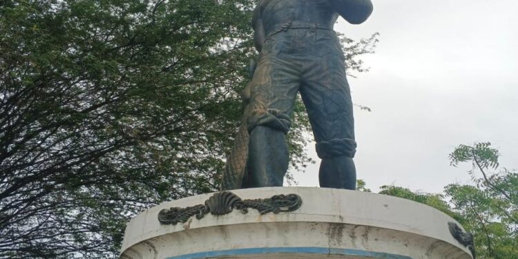 Raíces de unión y memoria