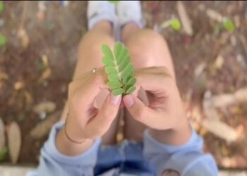 Aprender a soltar – Storytelling