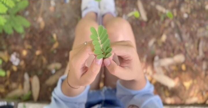 Aprender a soltar – Storytelling