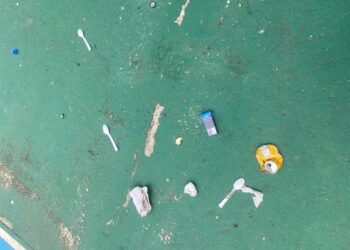 Basura sobre líneas blancas
